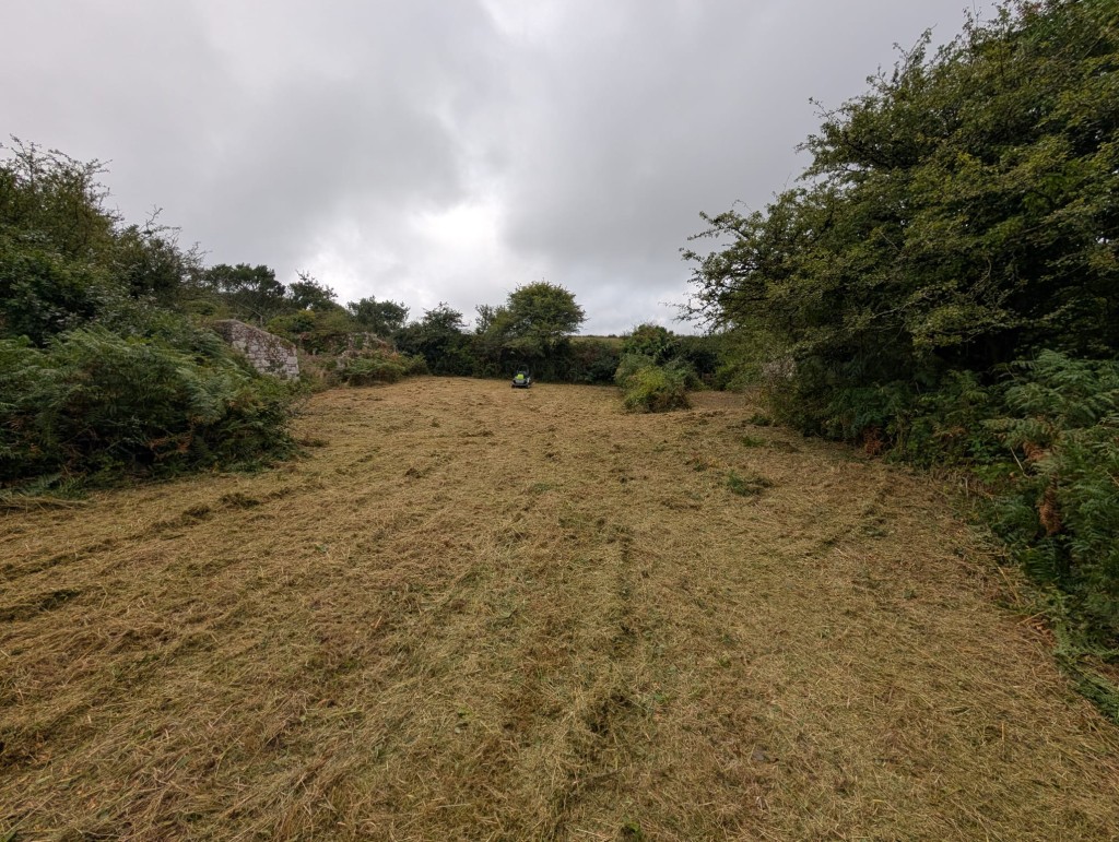 Lot: 106 - FREEHOLD LAND WITH LAKE AND DISUSED BUILDINGS - Another view part of land